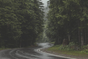 Winding Road